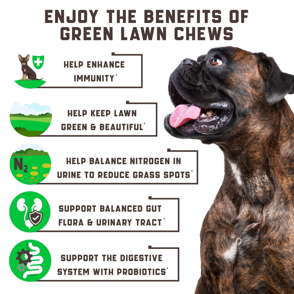 Green Lawn Chews for Dogs Urine Neutralizer Cranberry ACV – photo 4 of 7