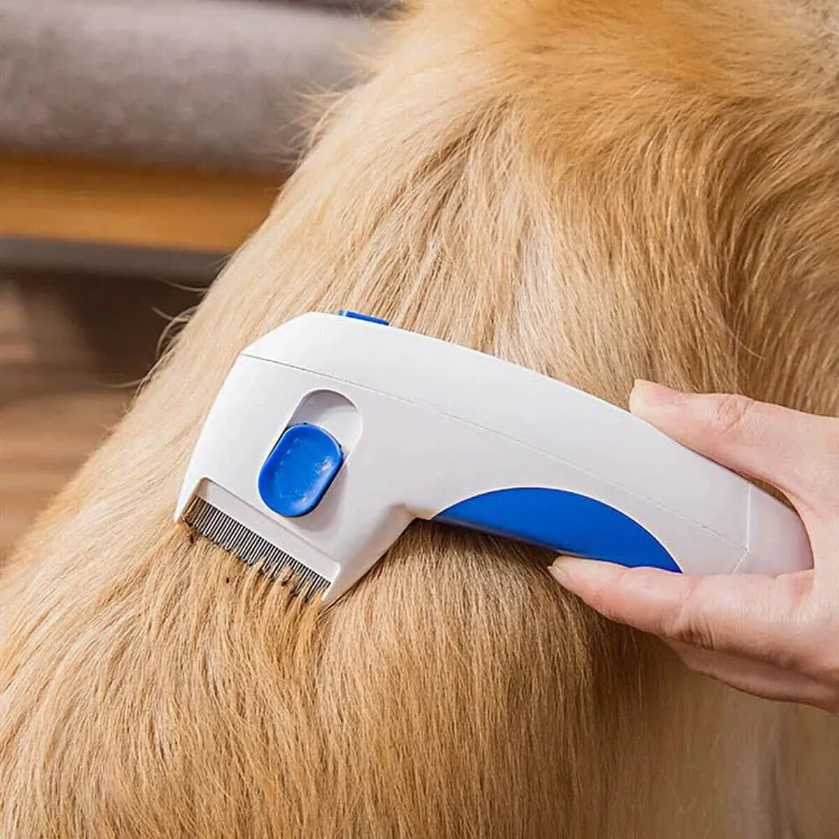 Electric Flea Comb for Dogs and Cats – photo 1 of 10