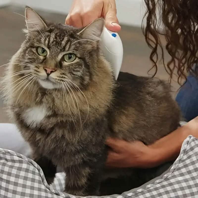 Electric Flea Comb for Dogs and Cats – photo 5 of 10