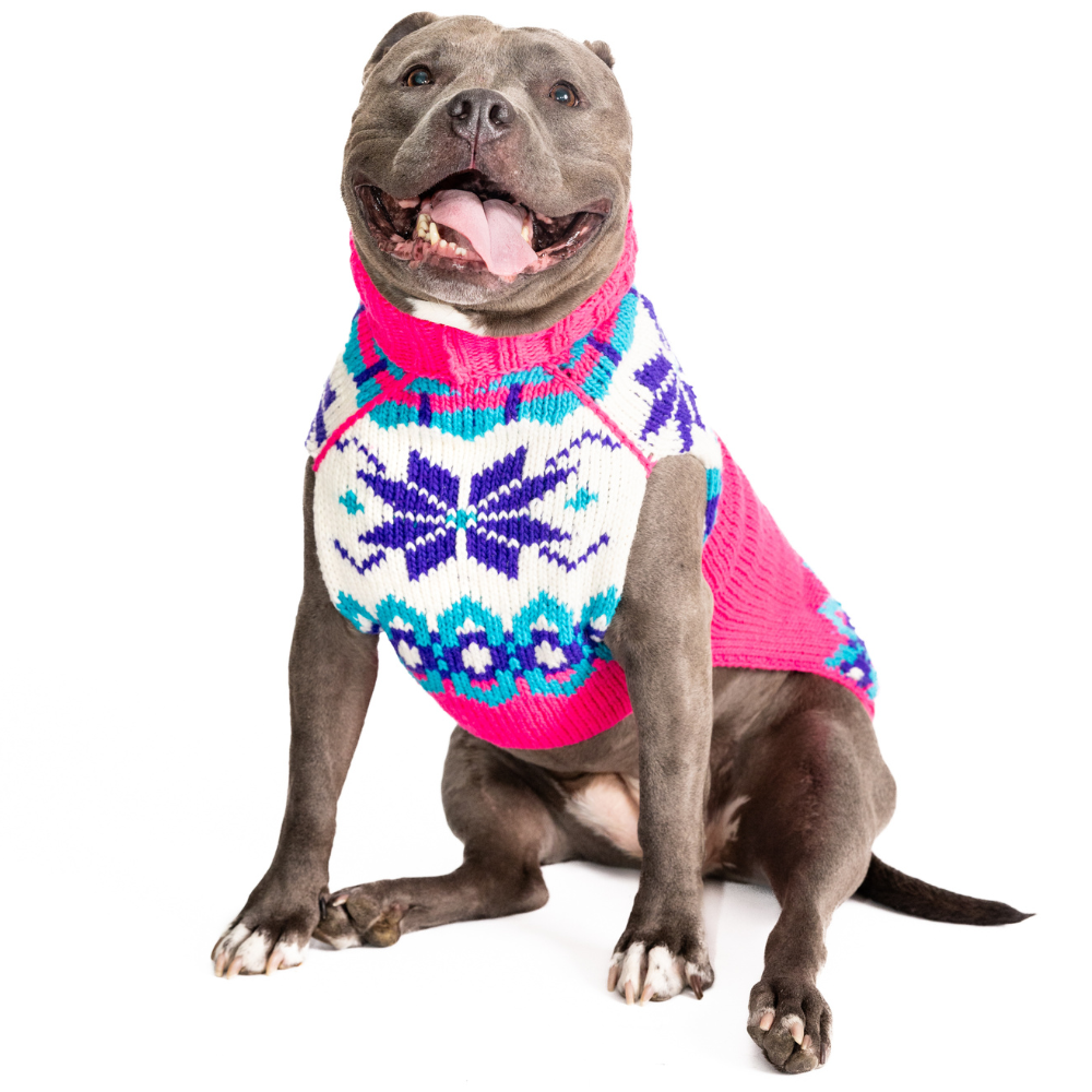 Elsa Dog Sweater Pink Purple and Turquoise – photo 4 of 6