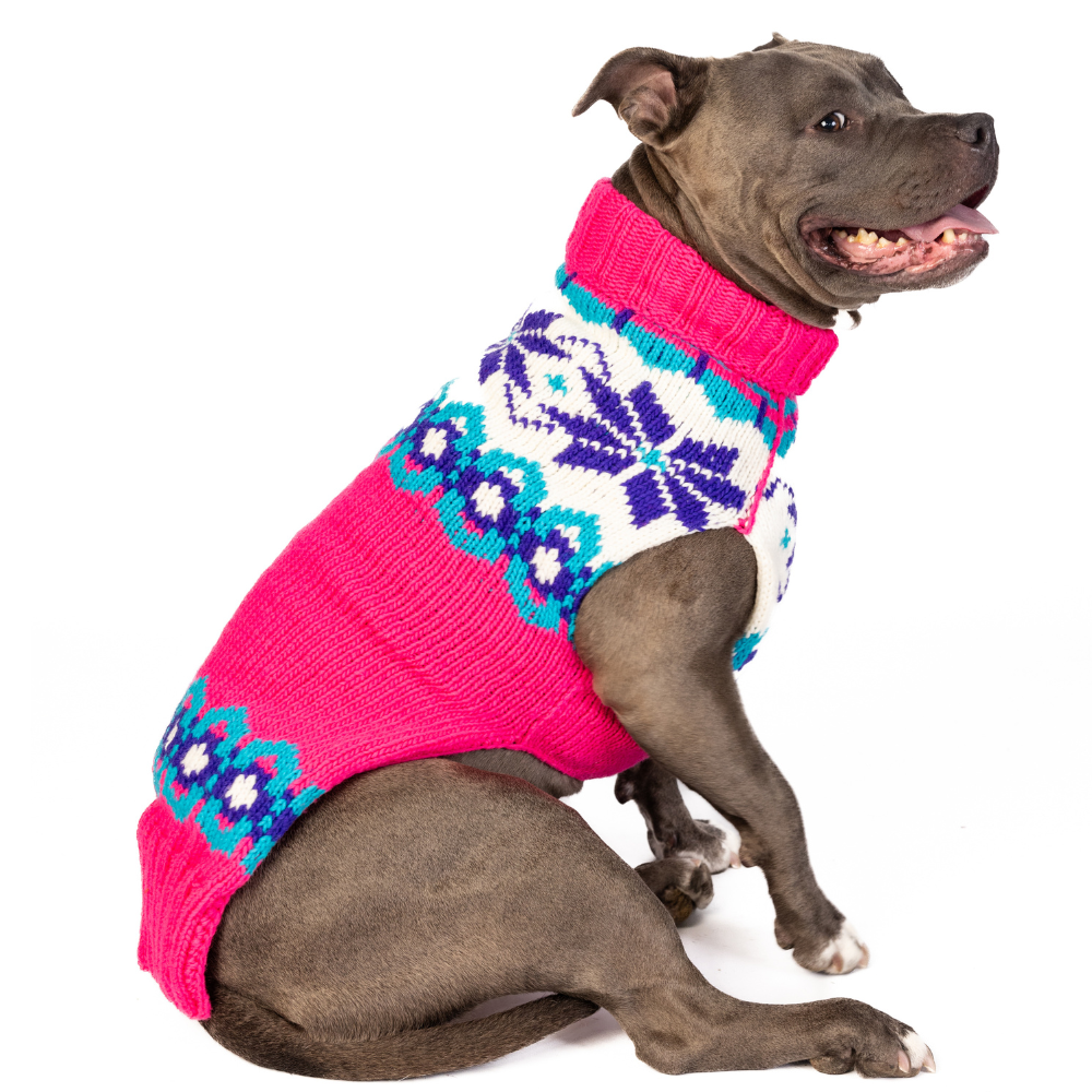 Elsa Dog Sweater Pink Purple and Turquoise – photo 5 of 6