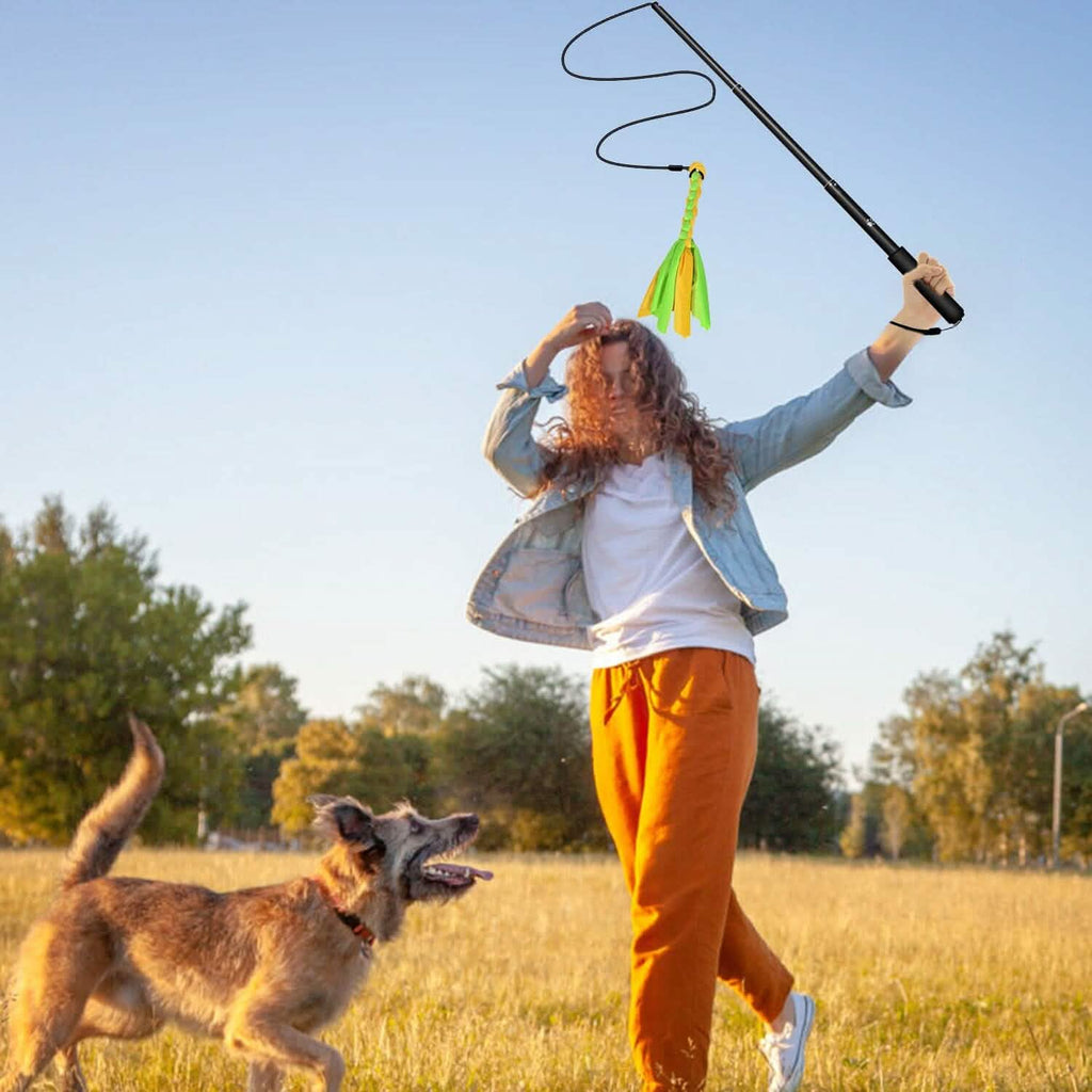 Extendable Dog Flirt Pole with 2 Replaceable Tail Toys – photo 13 of 15