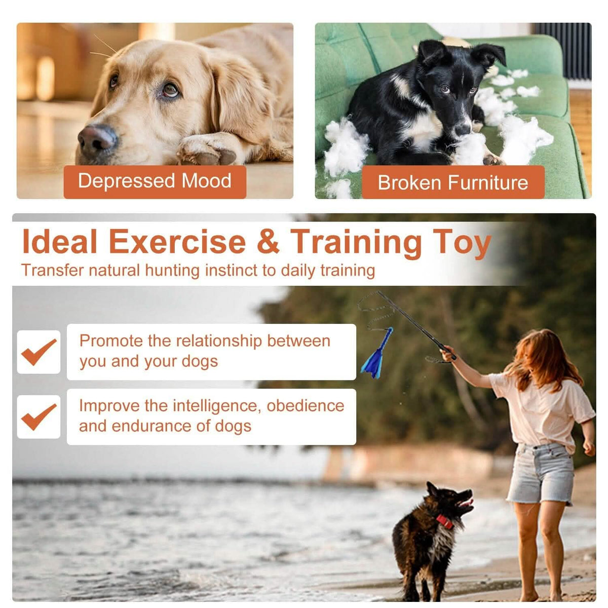 Extendable Dog Flirt Pole with 2 Replaceable Tail Toys – photo 10 of 15