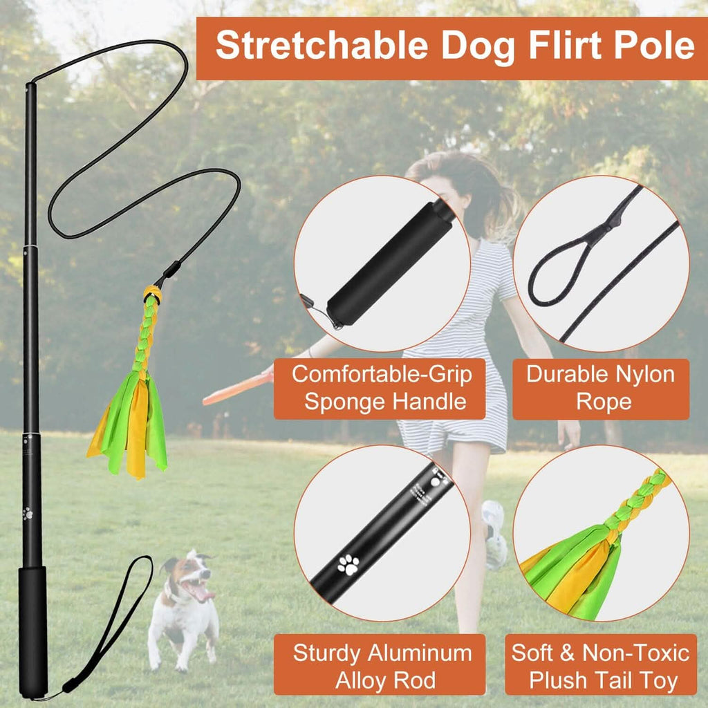 Extendable Dog Flirt Pole with 2 Replaceable Tail Toys – photo 12 of 15