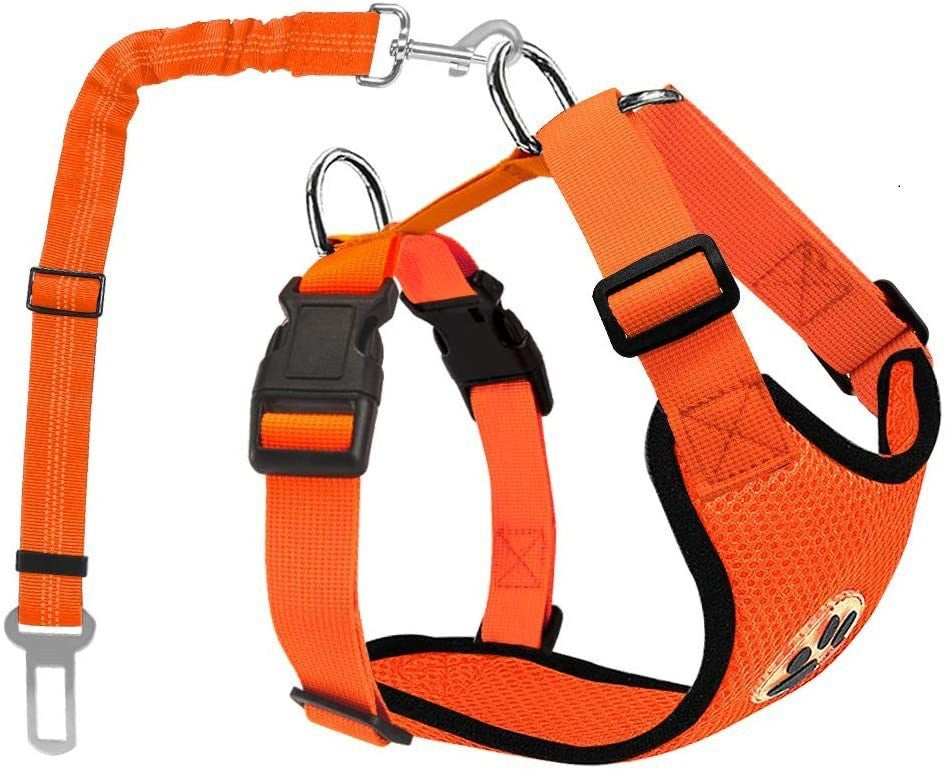 Reflective Dog Leash – Small & Medium Dogs – alternate view 6