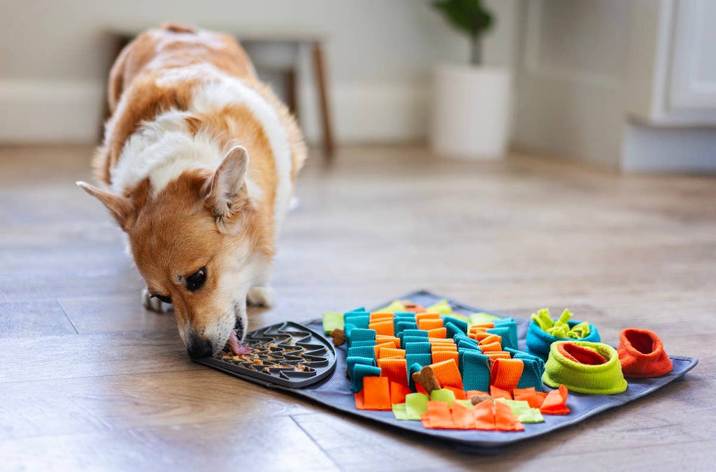Messy Mutts Square Forage Snuffle Mat – 16 Inch with Suction – alternate view 11