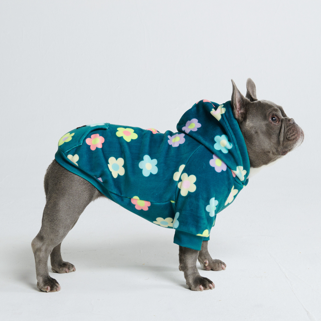 Daisy Dog Hoodie - Green – front view