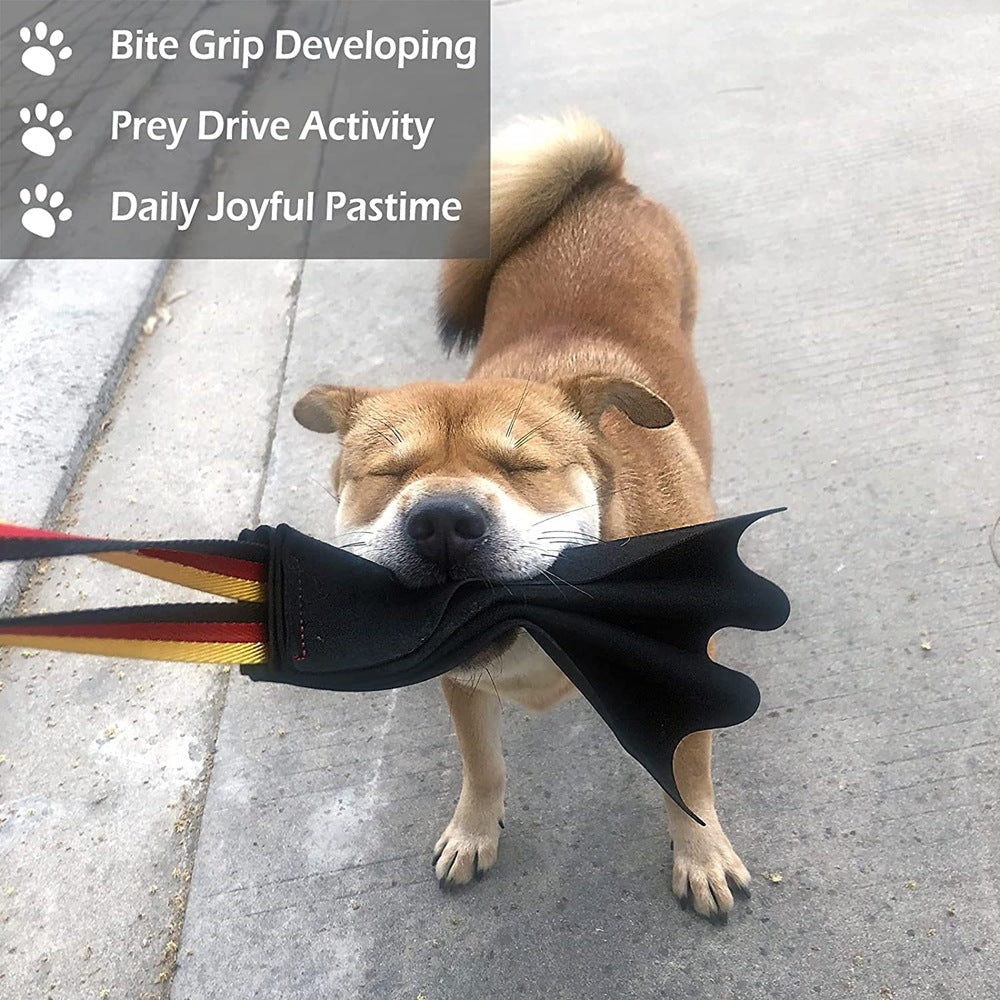 Cowhide Bite Training Toy for Dogs – Interactive – alternate view 5