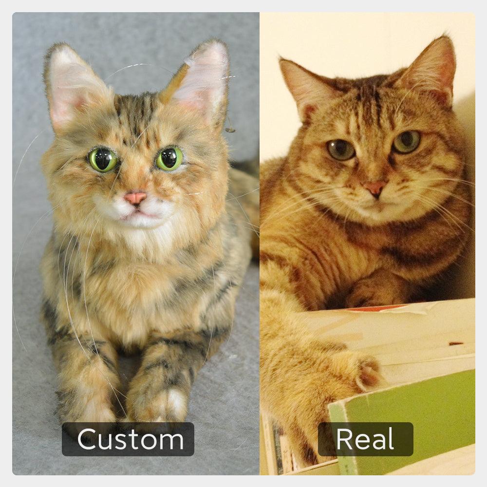 Custom Pet Plush from Photo – Memorial Keepsake for Dogs & Cats – alternate view 6