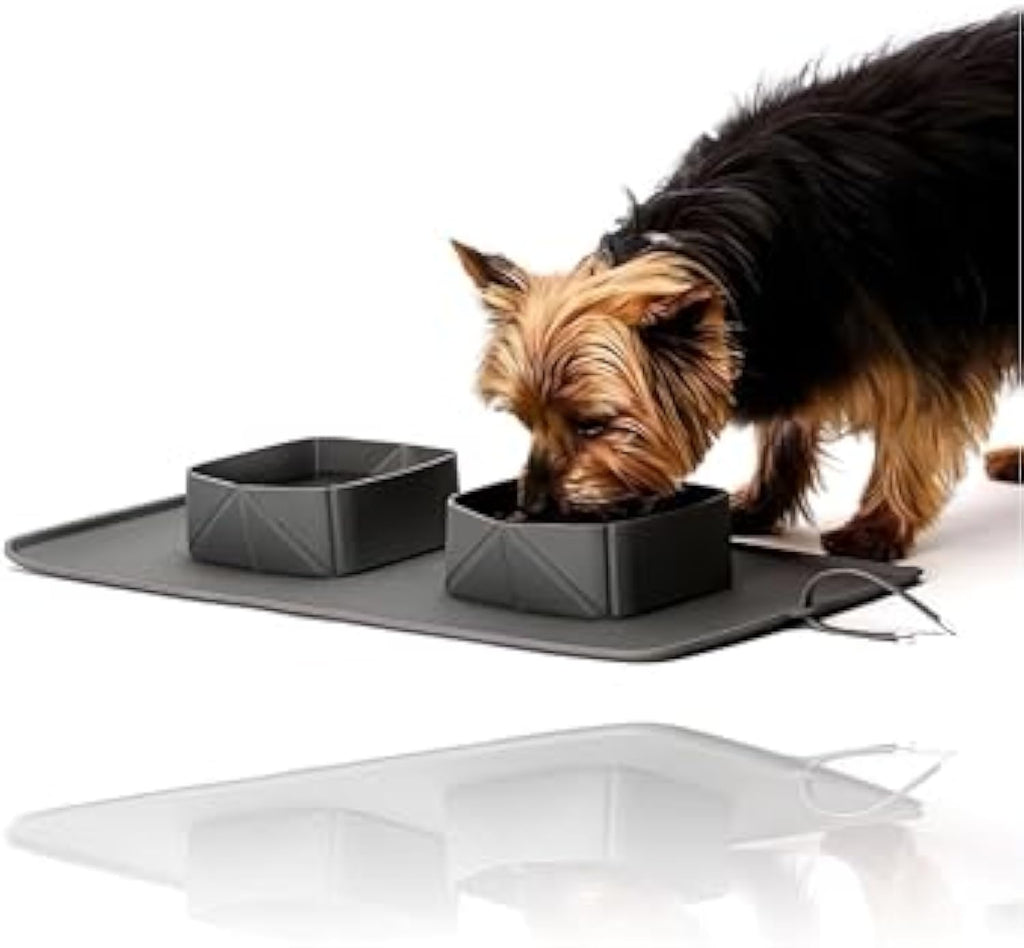 Collapsible Silicone Double Travel Bowl for Dogs & Cats – alternate view 3