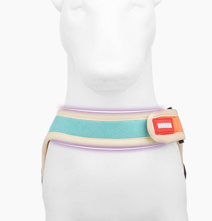 Suede Dog Harness with Leash – alternate view 6