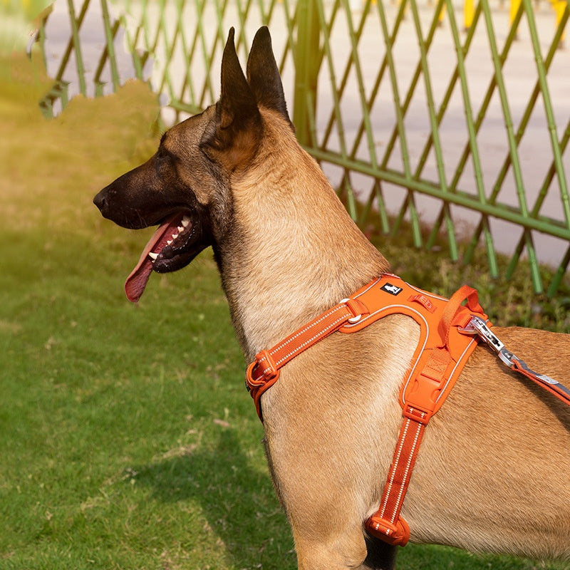 Nylon Dog Chest Strap Harness Orange Purple – photo 1 of 10