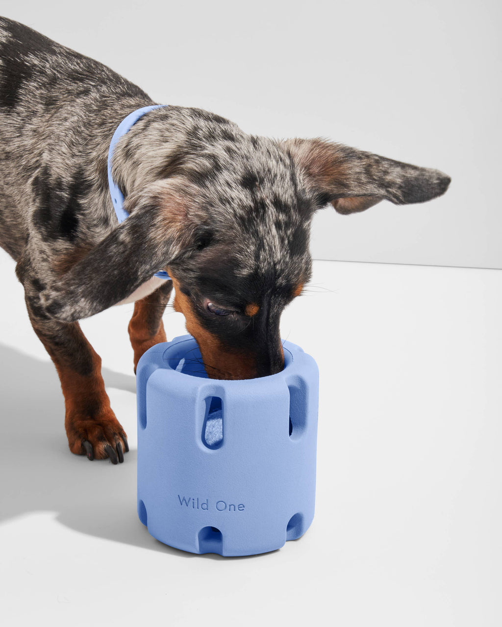 Tennis Tumble Interactive Dog Toy – Moonstone – alternate view 2