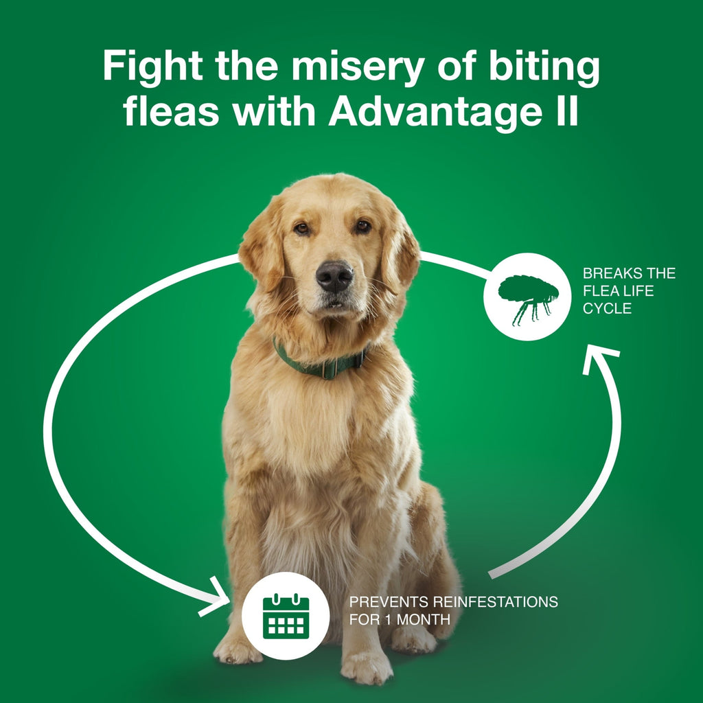 Vet-Recommended Flea Prevention for Medium Dogs 11-20 Lbs 6-Monthly Tr, detail view