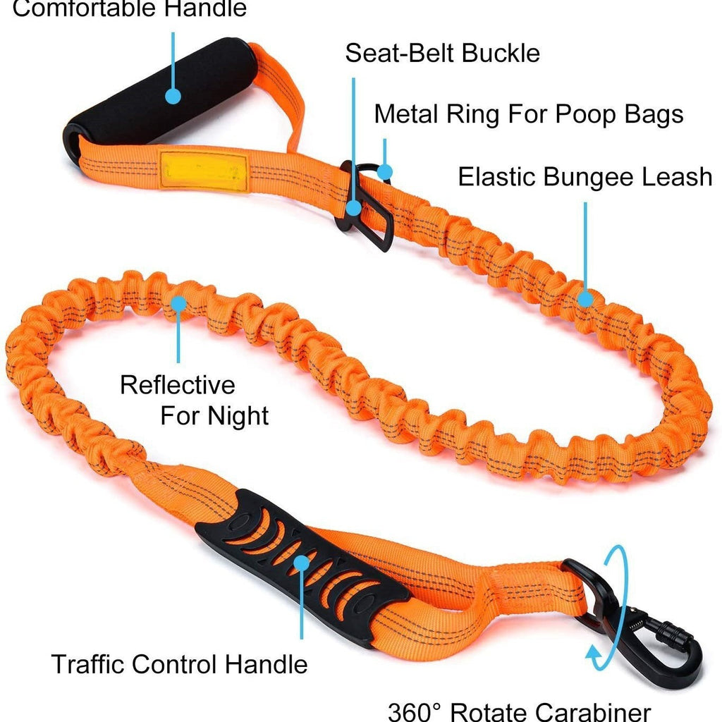 Reflective Dog Leash – Small & Medium Dogs – alternate view 3