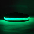 LED Dog Collar: Green – front view