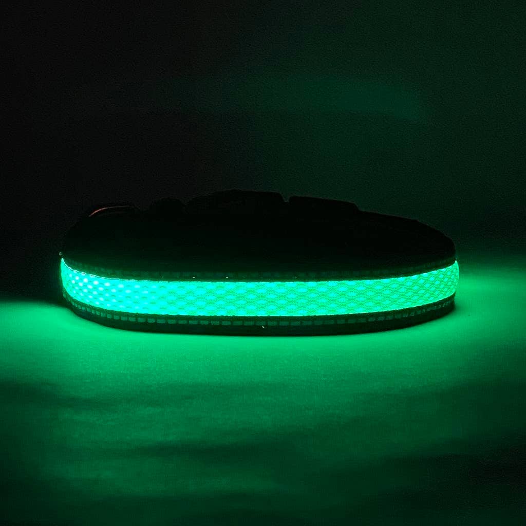 LED Dog Collar: Blue – alternate view 7