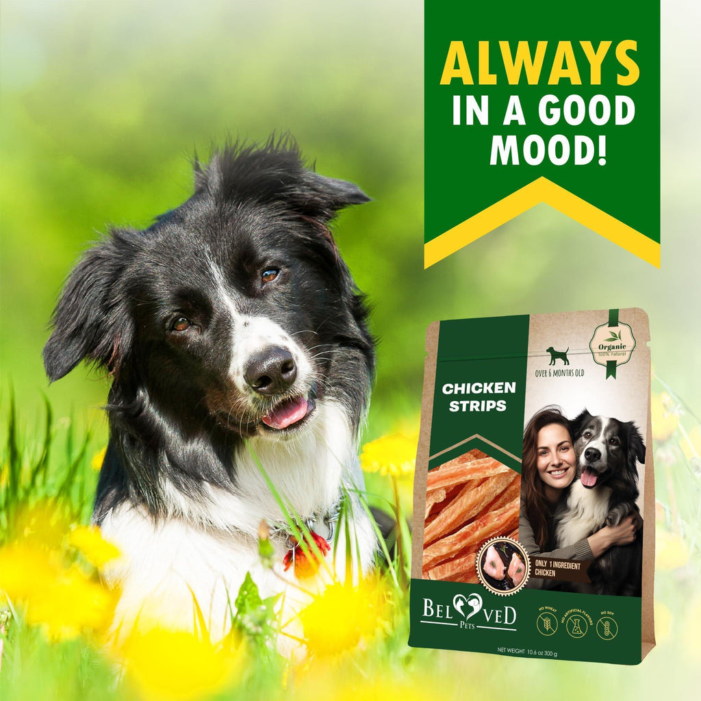 Chicken Strips Dog Treats Human-Grade Grain-Free 10.6 oz – photo 7 of 7