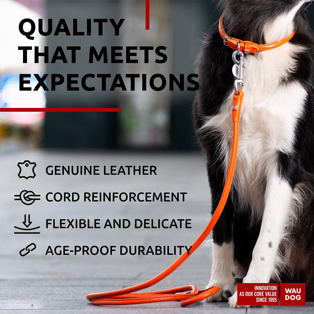 Rolled Leather Dog Leash Glamour Orange 4 ft – photo 3 of 6
