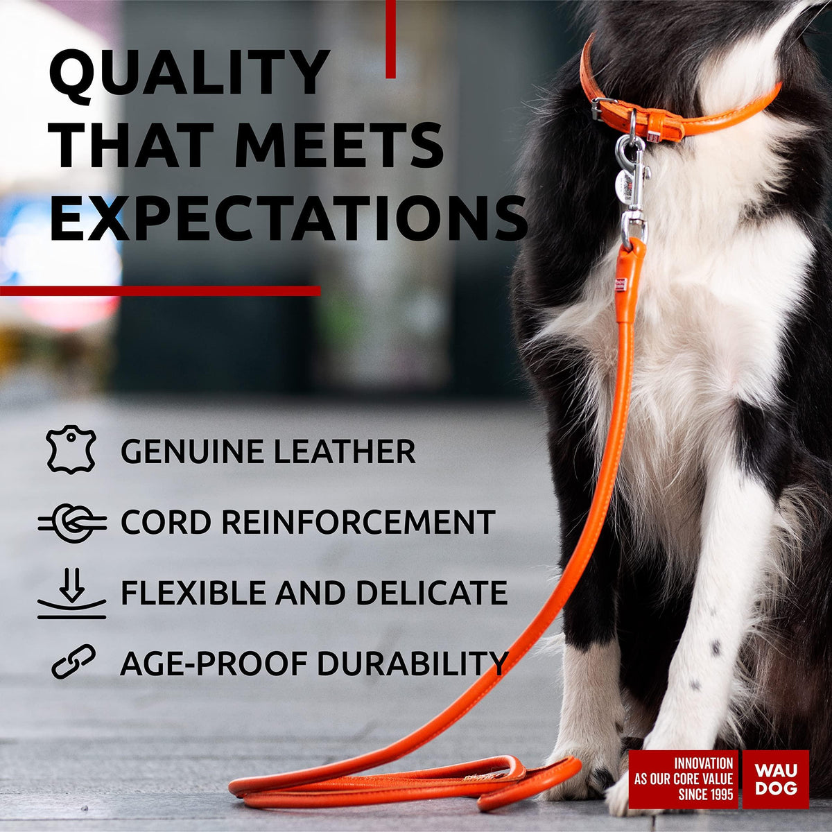 Rolled Leather Dog Leash Glamour Orange 4 ft – photo 3 of 6