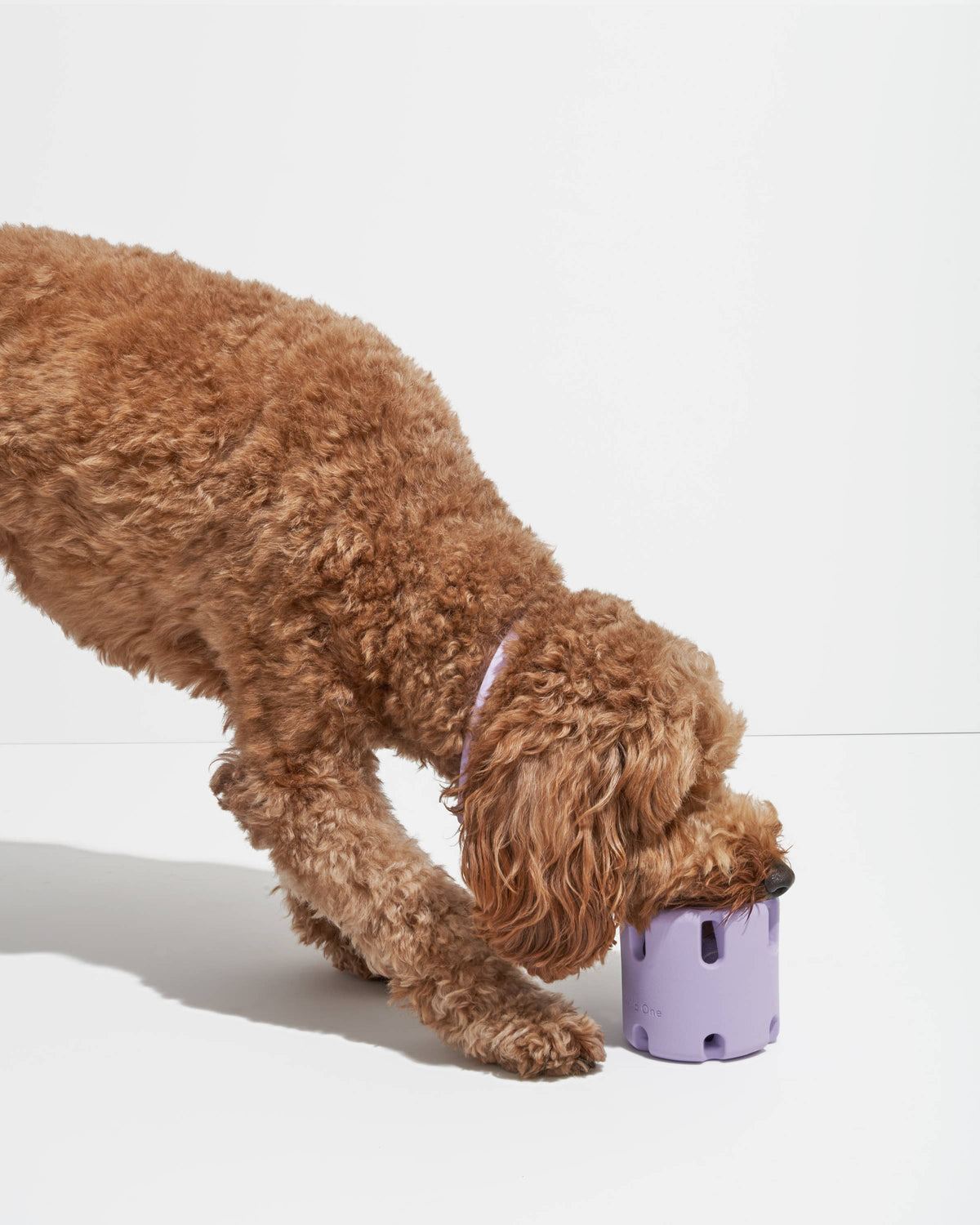 Tennis Tumble Dog Toy – Navy – alternate view 8