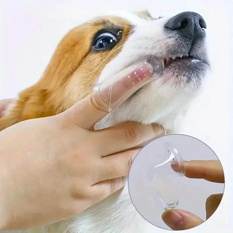 Finger Toothbrush for Dogs and Cats Silicone – photo 3 of 9