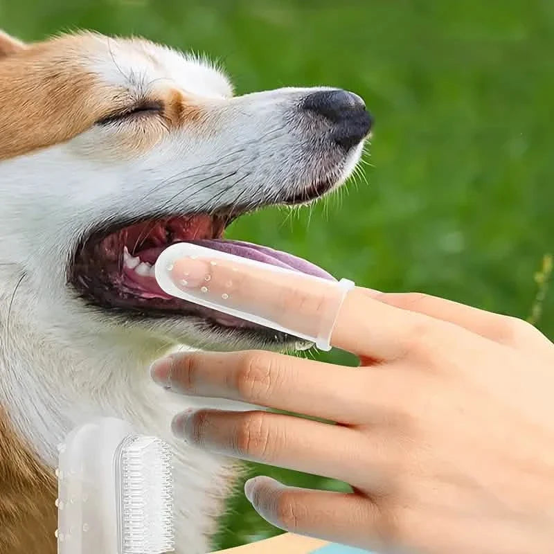 Finger Toothbrush for Dogs and Cats Silicone – photo 7 of 9