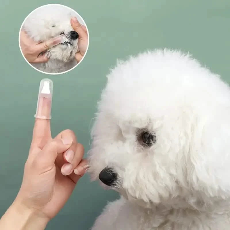 Finger Toothbrush for Dogs and Cats Silicone – photo 6 of 9