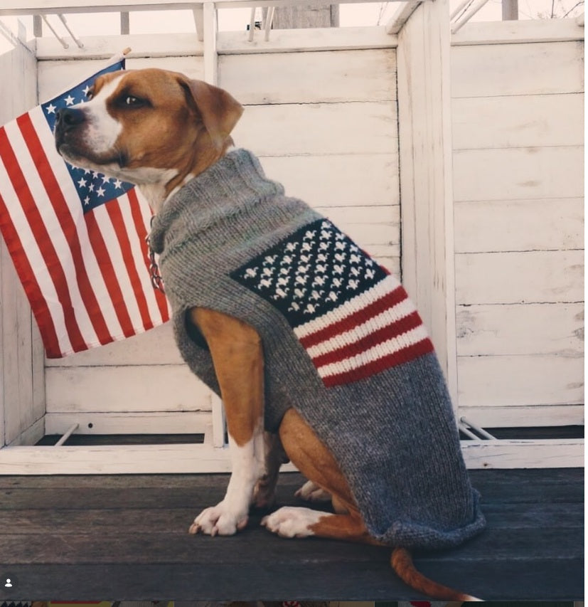 American Flag Wool Dog Sweater Red White and Blue – photo 6 of 6