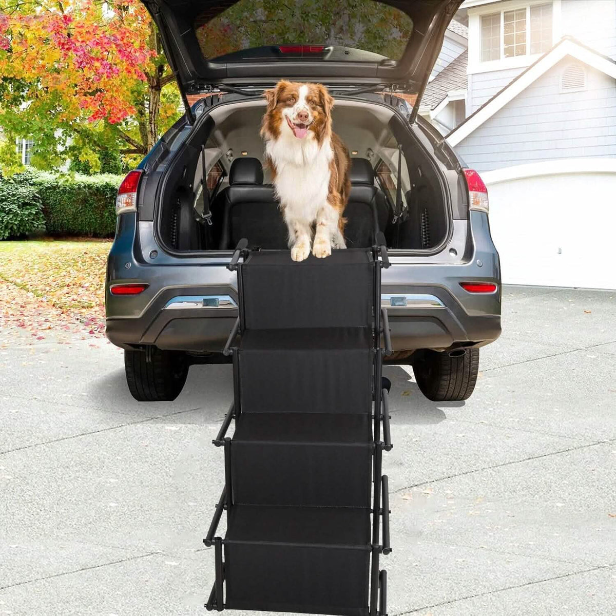 Foldable Dog Ramp 4-Step Collapsible Non-Slip Stairs – photo 13 of 14