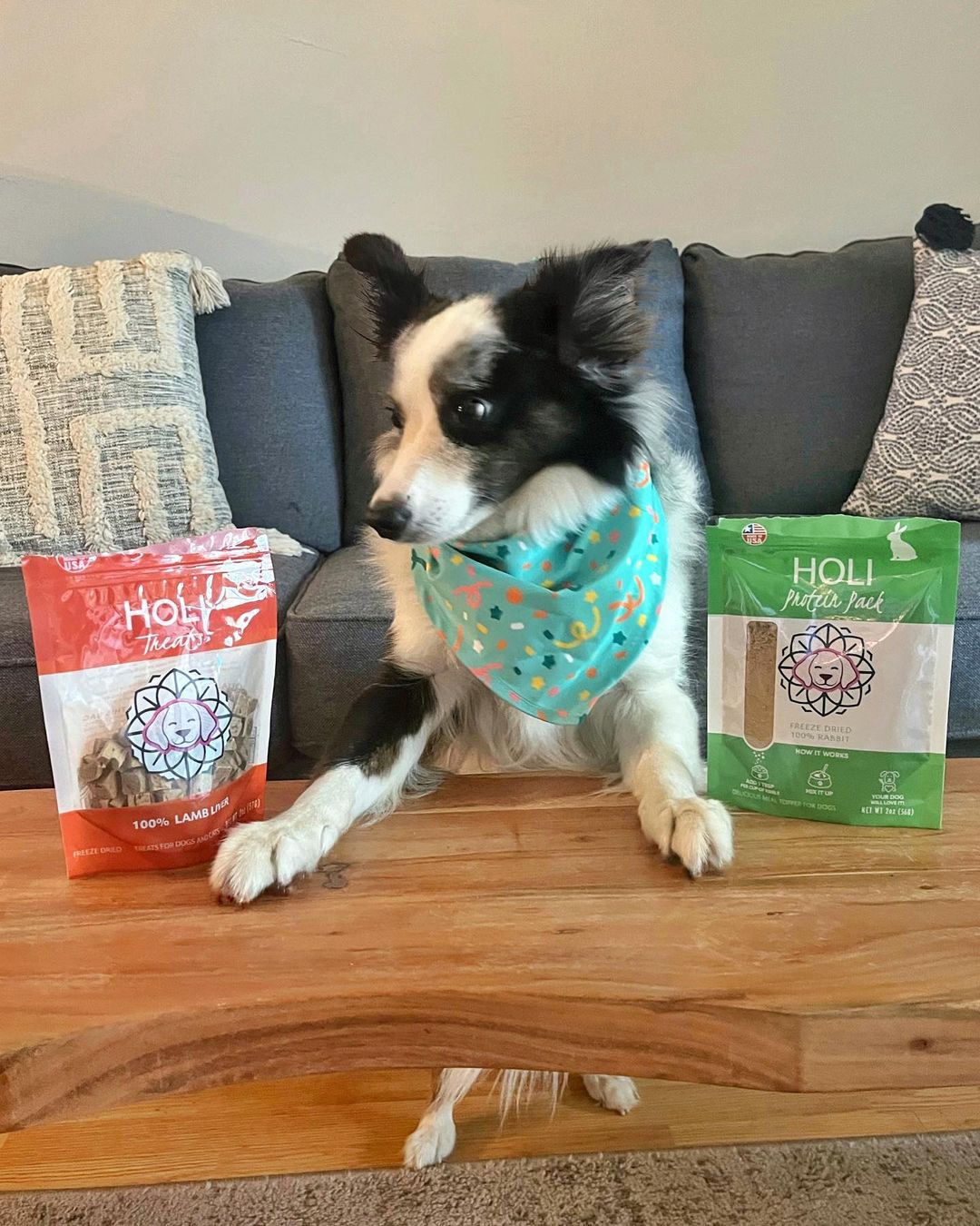 Freeze-Dried Rabbit Dog Food Topper – alternate view 4