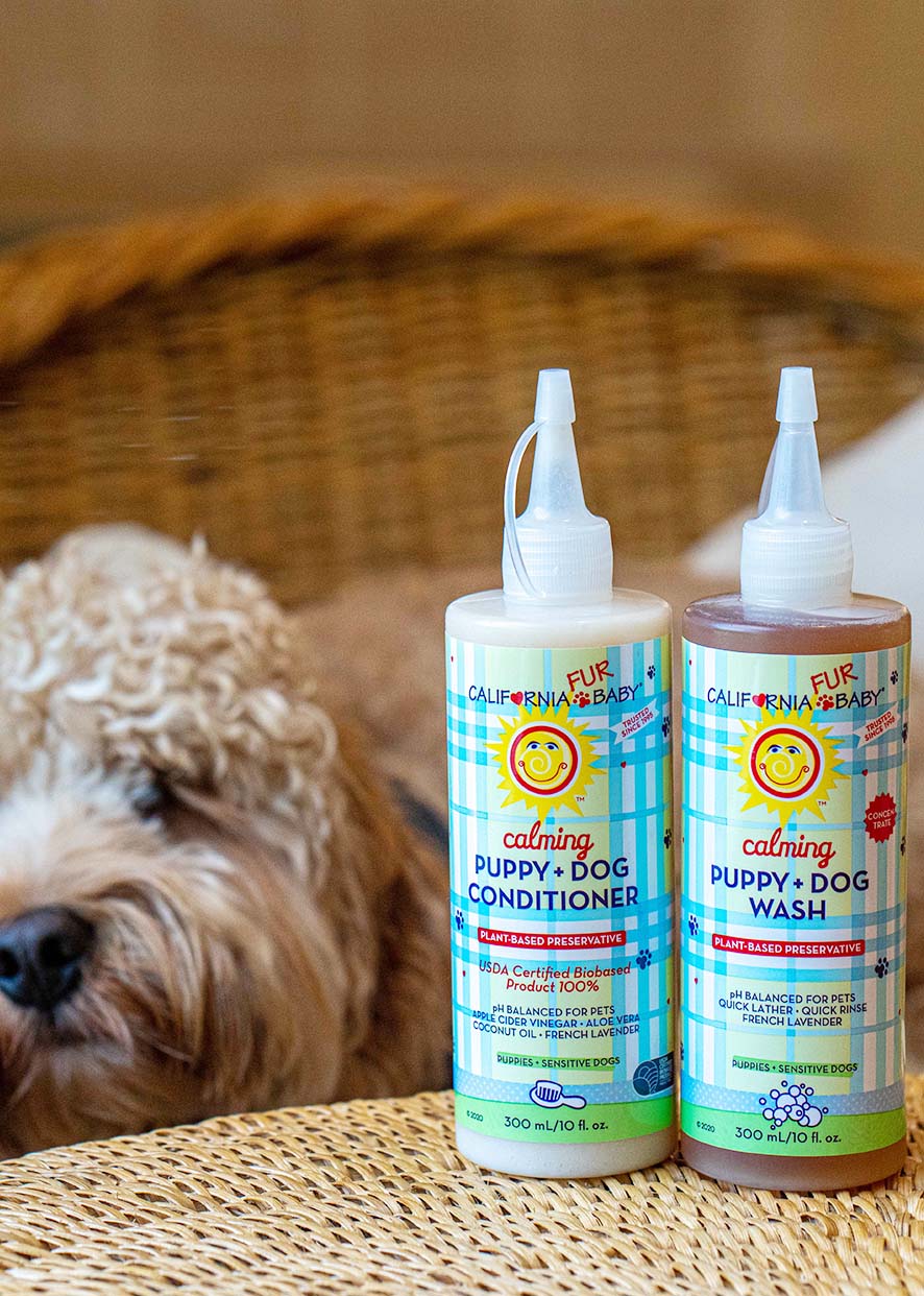 Calming™ Puppy + Dog Wash & Conditioner Set – alternate view 3