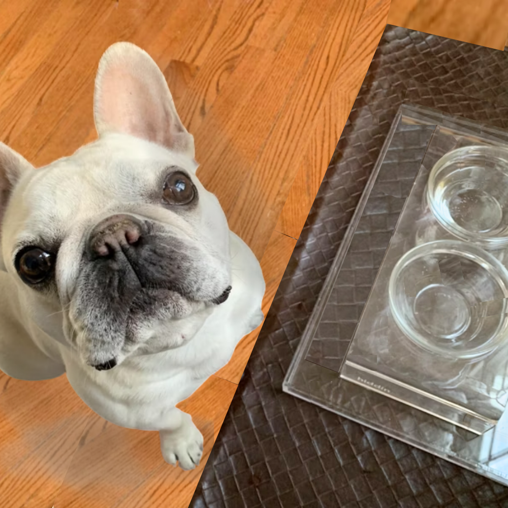 Hiddin Small Glass Bowl Feeder – Lucite Stand – alternate view 24