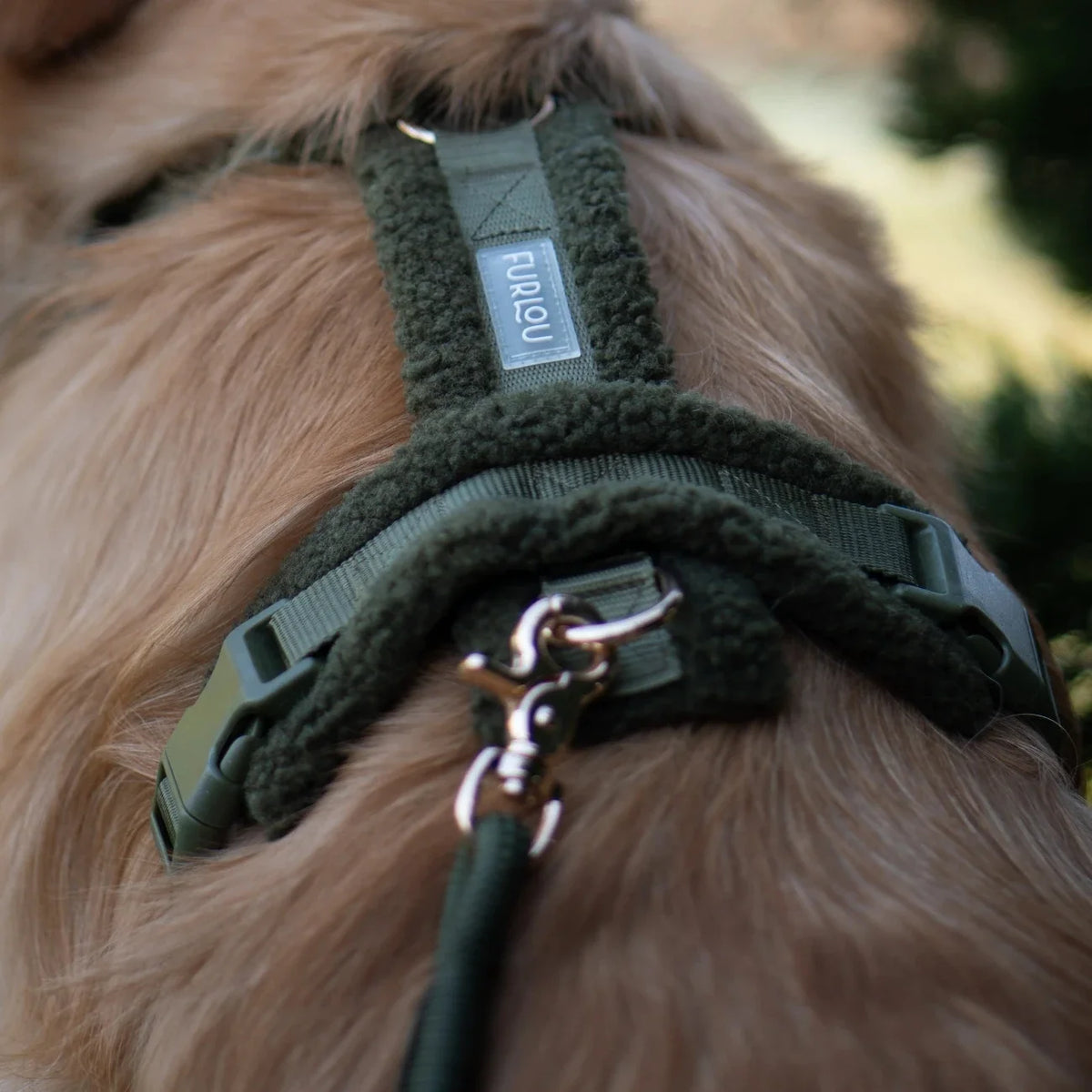 Moss Green Sherpa Dog Harness, detail view