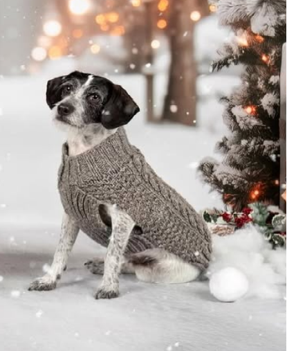 Gray Cable Knit Dog Sweater 100 Percent Sheep Wool – photo 5 of 6