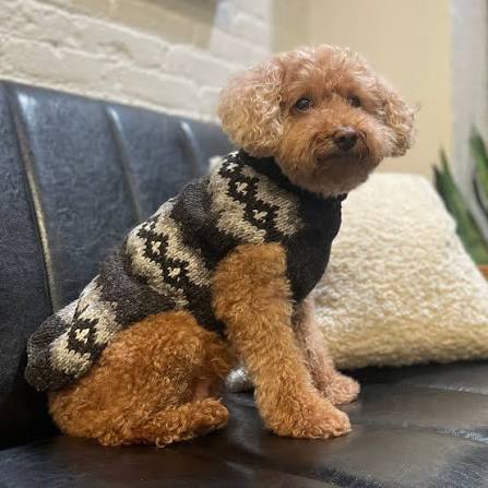 Gray Diamonds Dog Sweater Hand Knit Wool in Natural Gray Tones – photo 3 of 3