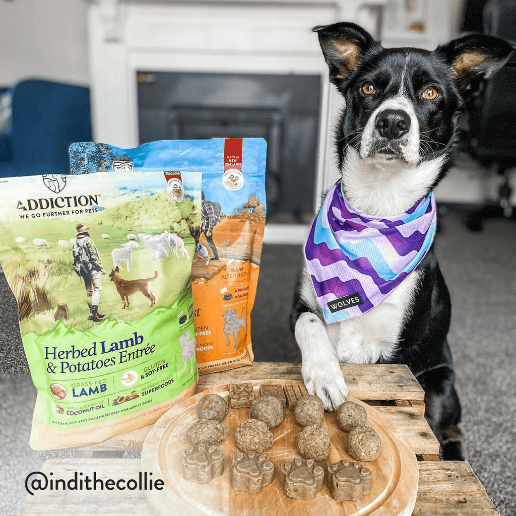 Herbed Lamb & Potatoes Air-Dried Dog Food – alternate view 10