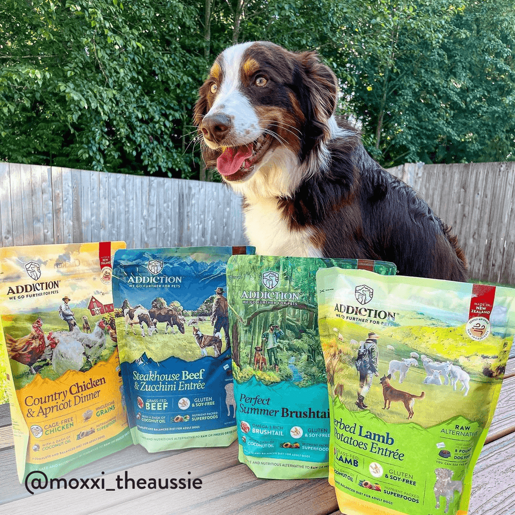 Herbed Lamb & Potatoes Air-Dried Dog Food – alternate view 8
