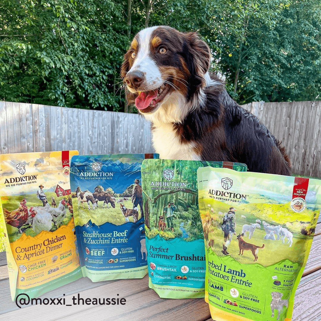 Herbed Lamb & Potatoes Air-Dried Dog Food – alternate view 8