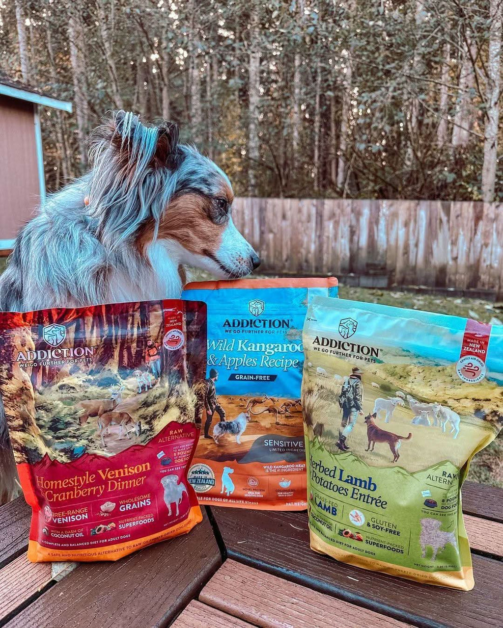 Herbed Lamb & Potatoes Air-Dried Dog Food – alternate view 11