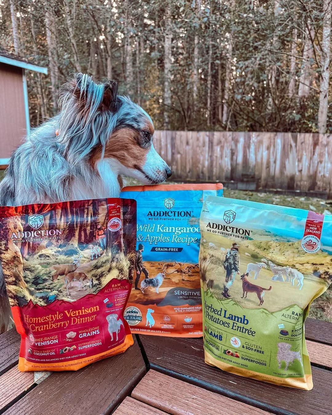 Herbed Lamb & Potatoes Air-Dried Dog Food – alternate view 11