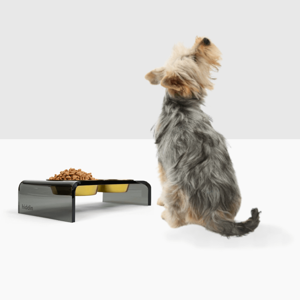 Hiddin Smoke Grey Lucite Feeder with Metal Bowls – alternate view 5