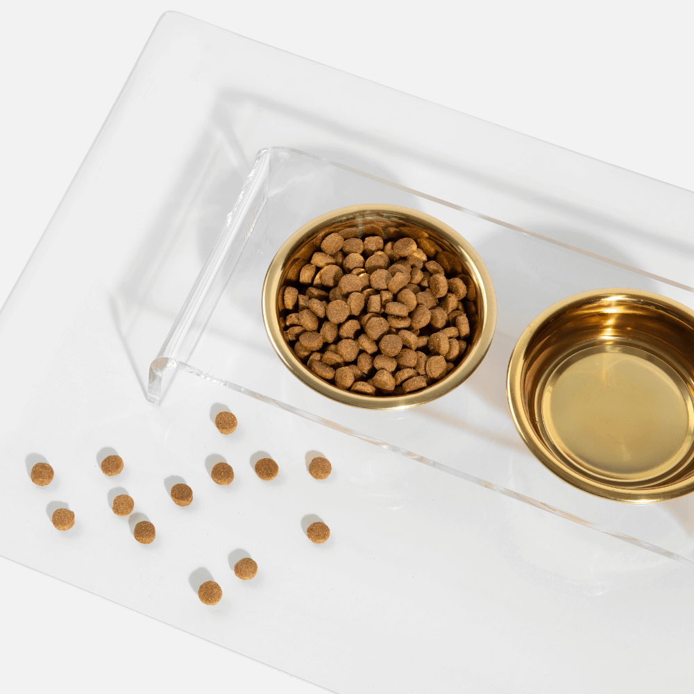 Hiddin Small Gold Feeder – Lucite Stand with Stainless Steel Bowls – alternate view 9