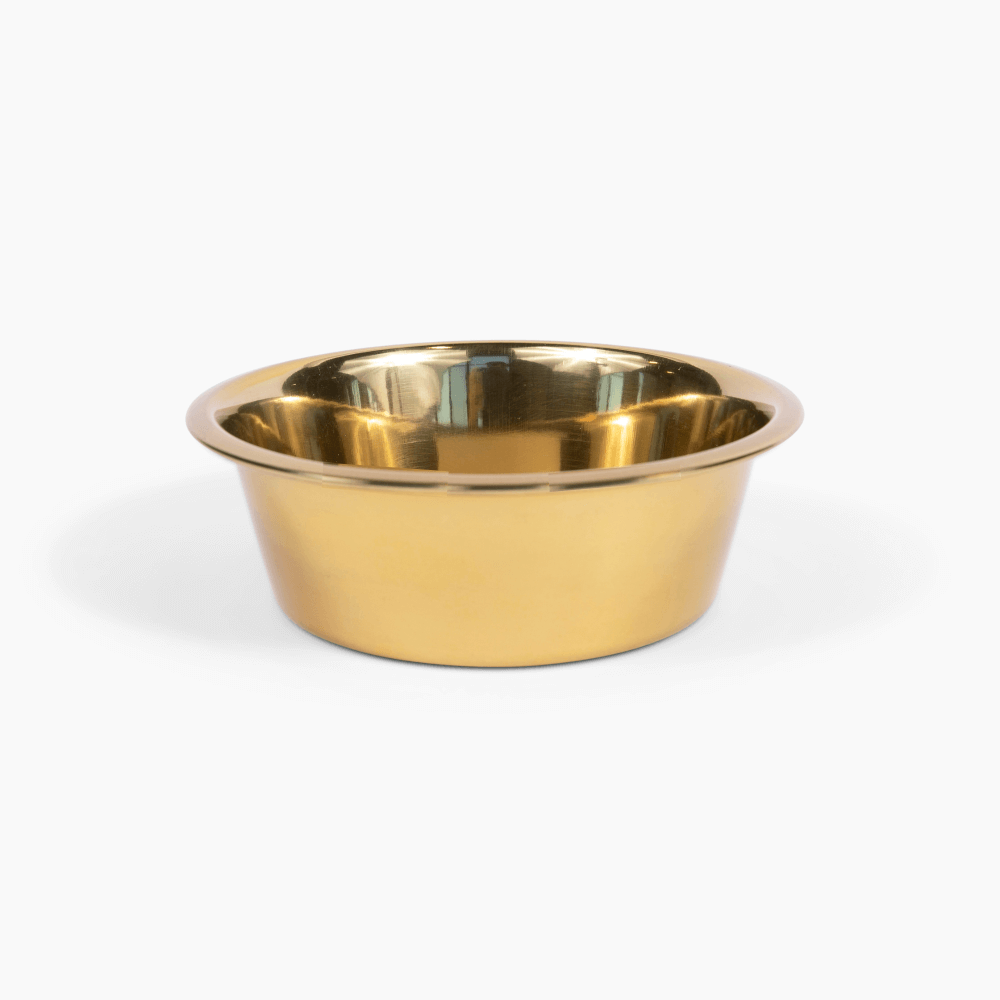 Hiddin Small Gold Feeder – Lucite Stand with Stainless Steel Bowls – alternate view 14