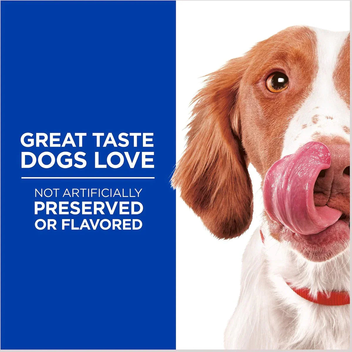 Hills Natural Grain Free Crunchy Treats Chicken Apples – photo 4 of 4