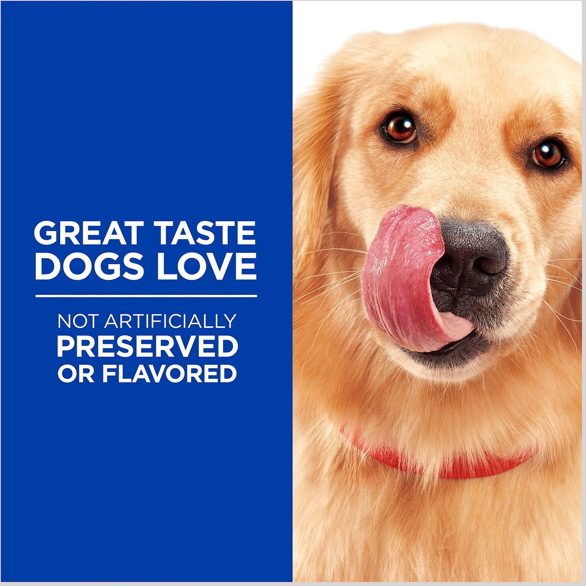 Hills Natural Jerky Strips Dog Treats – photo 5 of 5
