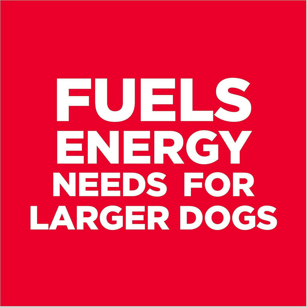 Hills Science Diet Adult Light Large Breed Chicken Barley – photo 2 of 9