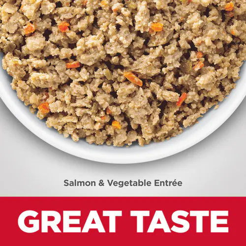 Hills Science Diet Sensitive Stomach Skin Salmon Vegetable Entree – photo 3 of 7