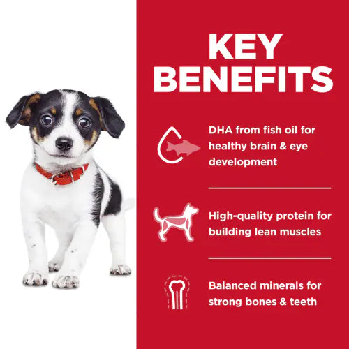Hills Science Diet Puppy No Corn Wheat Soy Chicken Dry – photo 2 of 5