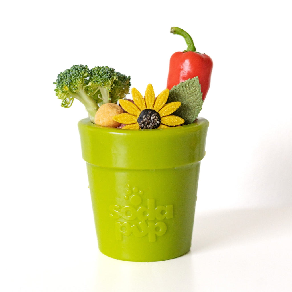 SodaPup Flower Pot eCup rubber treat dispenser dog toy – photo 9 of 16